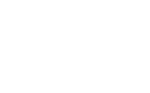 bliz-logo